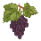 les Côtes de Provence